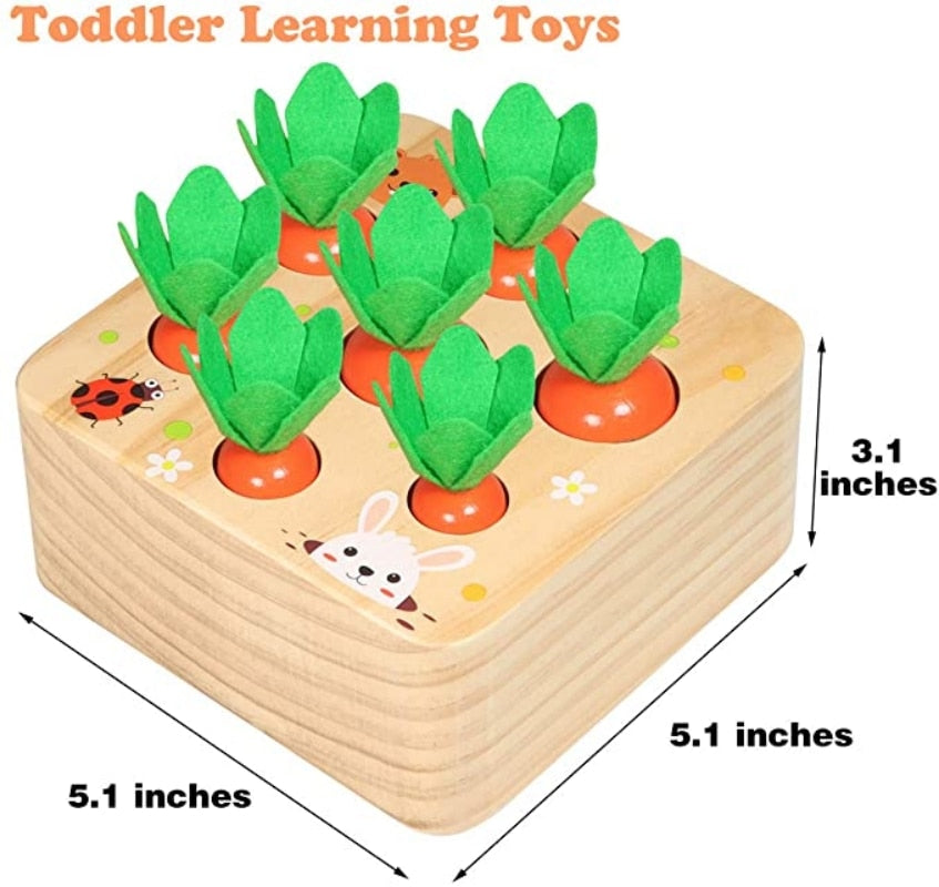 Montessori Wooden Toys for Child 6mo - 3yrs