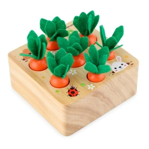 Montessori Wooden Toys for Child 6mo - 3yrs