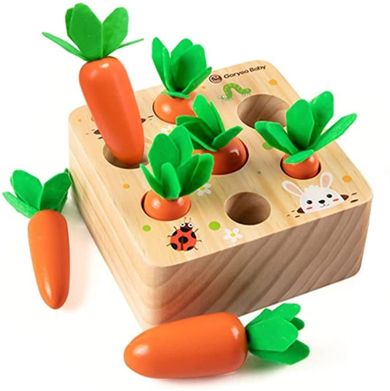 Montessori Wooden Toys for Child 6mo 3yrs – Peachy Pear