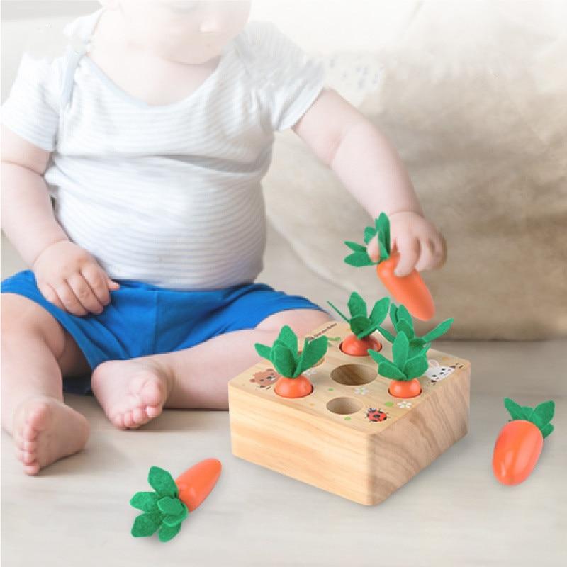 Wooden Carrot Educational Toy