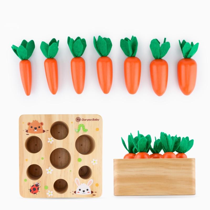 Wooden Carrot Educational Toy