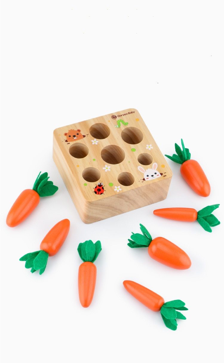 Wooden Carrot Educational Toy