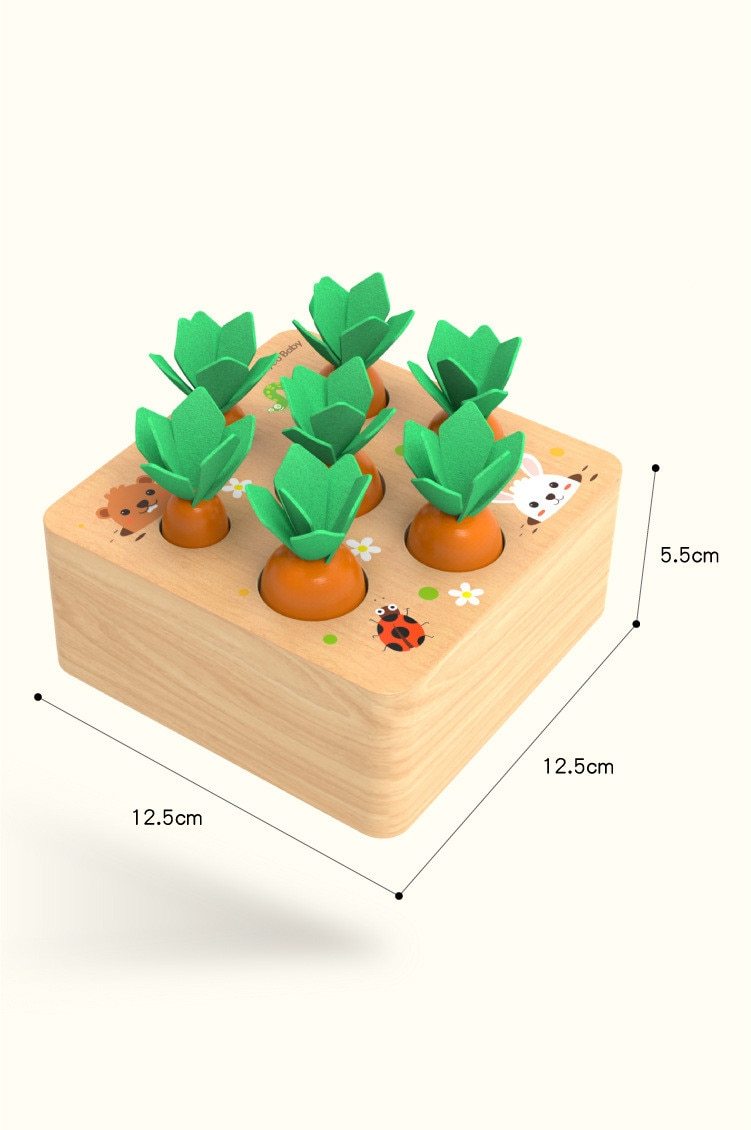 Wooden Carrot Educational Toy