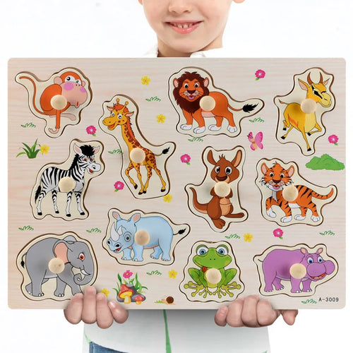 Montessori Wooden Toy Puzzles