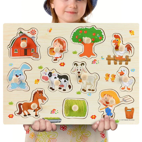 Montessori Wooden Toy Puzzles