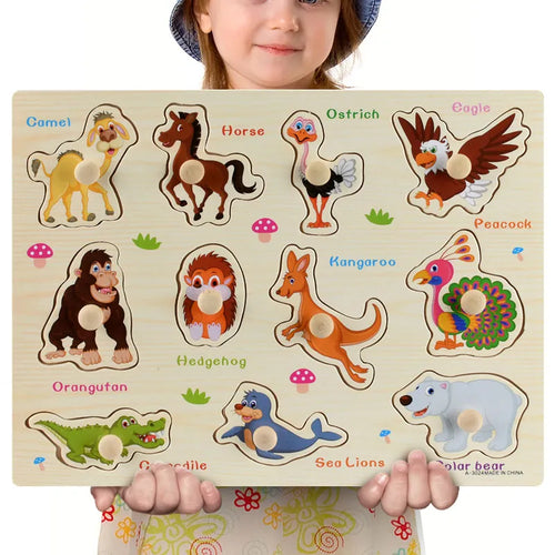 Montessori Wooden Toy Puzzles