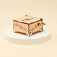 Music Box DIY Kit, Educational STEM Toy