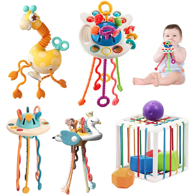 Montessori Sensory Development Toys