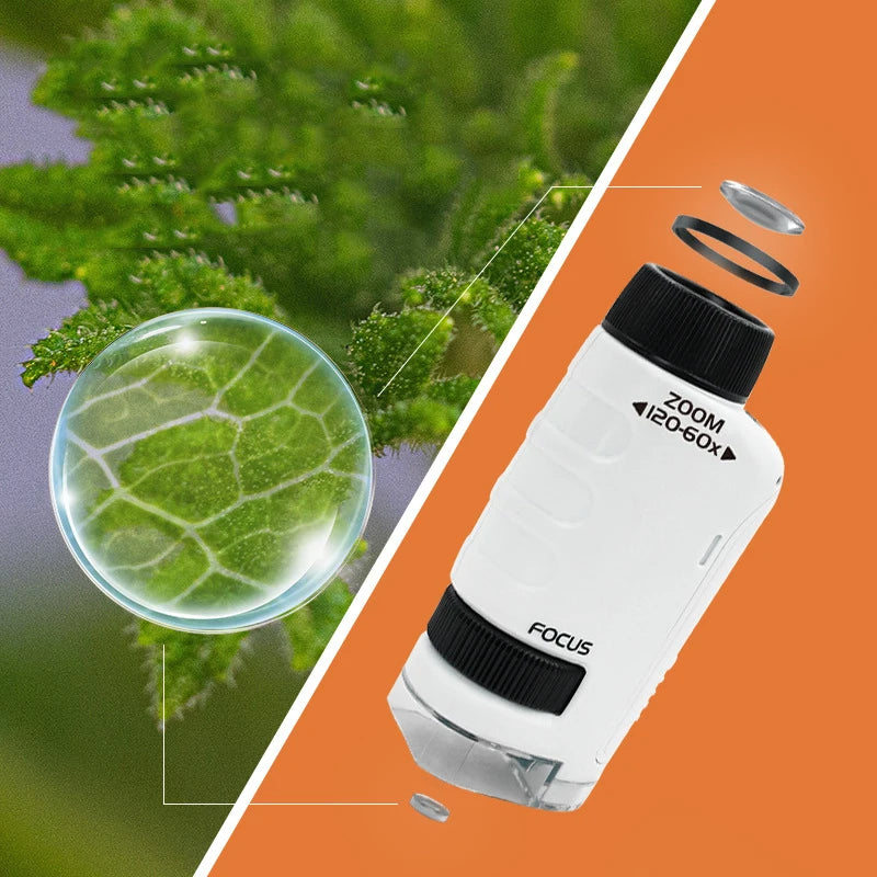 Kid Science Experiment - Pocket Microscope Toy Kit
