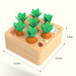 Wooden Carrot Educational Toy